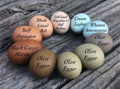 six eggs with different names on them