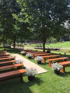 rows of wooden benches sitting on top of a lush green field