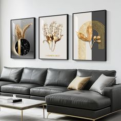 three paintings hang on the wall above a couch in a living room with white walls