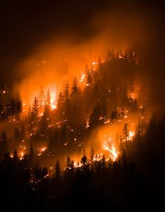 Johanna Basford Enchanted Forest, Breathing Fire, Fire Photography, Wild Fire, Orange Aesthetic, Forest Fire, Life Is Strange, Fire And Ice, Us Army