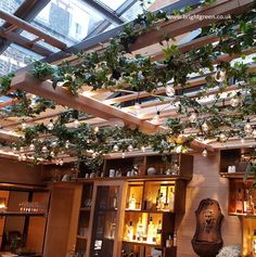 the interior of a bar with plants growing on the ceiling and shelves full of liquor bottles