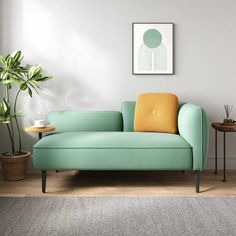 a living room with a blue couch and potted plant on the side table next to it