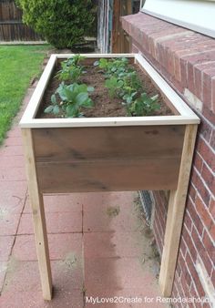 a wooden planter with plants growing in it