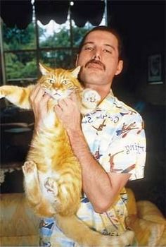 a man holding an orange and white cat in his arms