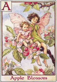 Fairies And Flowers, Apple Blossom Flower, Marjolein Bastin, Fairy Coloring