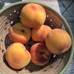 a bowl filled with lots of ripe peaches