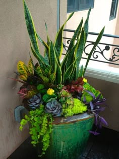 a potted plant sitting on top of a table next to a window