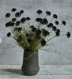 a vase filled with black flowers sitting on top of a wooden table next to a wall