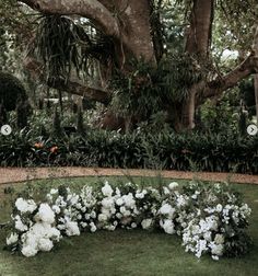 an outdoor wedding ceremony with white flowers and greenery on the ground in front of a large tree