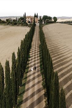 an aerial view of two people walking down a road lined with trees in the distance