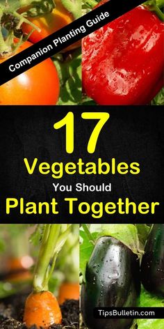 vegetables you should plant together in the garden