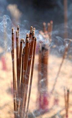 Classic Hand-rolled Incense sticks made in Bengaluru, India. Woman Lighting Incense, Altars Incense, Incense Flow, Forest Incense, Nag Champa Incense, Nag Champa, Meditation Room, Alam Yang Indah, Incense Sticks