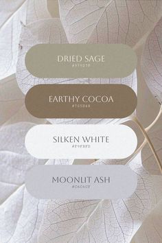 four different shades of white, brown and green leaves with the words earthy cocoa on them