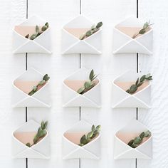 six white plates with green plants in them on a white wall mounted shelf against a wooden board