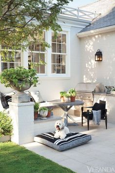 a small dog sitting on a cushion in front of a house