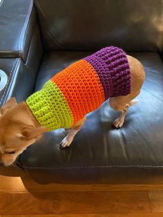 a small dog wearing a colorful sweater on top of a leather couch in a living room