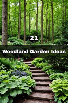 some steps in the middle of a forest with trees and plants on each side that says, 21 woodland garden ideas