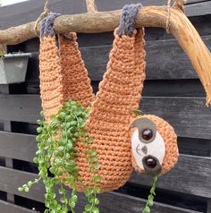 two slots hanging from a tree branch in front of a wooden fence with green plants