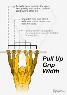 the diagram shows how muscles are attached to each other, and what they look like