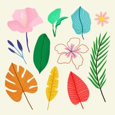 an assortment of different colored leaves and flowers