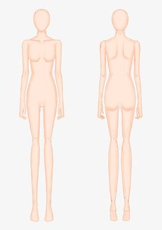 a female mannequin standing in front and back view, with no shirt on