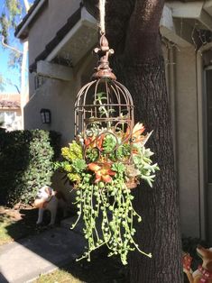 a bird cage hanging from a tree filled with flowers