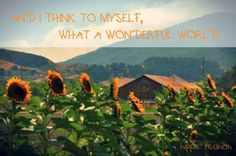 sunflowers in the foreground with mountains in the background and an inspirational quote