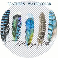 three different colored feathers with the words, feathers watercolor written on them in black and white