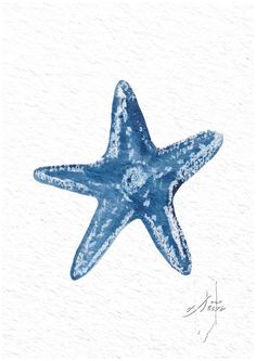 a blue starfish with white background