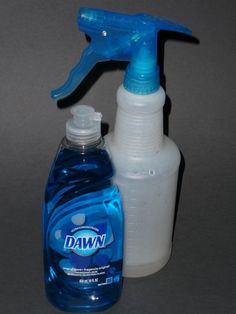 a spray bottle with a blue trigger on the top