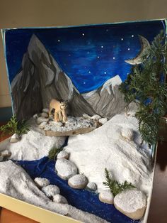 a fake mountain scene is displayed in a box with rocks and snow on the ground