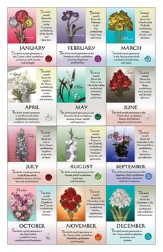 a calendar with flowers on it and the dates for each month in which they appear to be