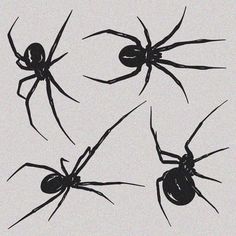 four black spider silhouettes on a white background, each with an insect's head