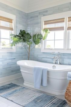 a white bath tub sitting under two windows next to a rug and a potted plant