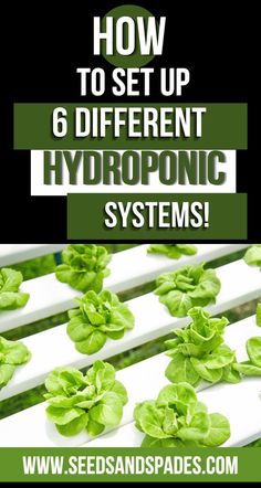 hydroponic systems with the title how to set up 6 different hydroponic systems