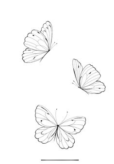 three butterflies flying in the air with one on top of the other, and another above it