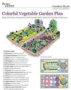 a garden plan with flowers and plants in it