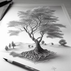 a pencil drawing of a tree with roots