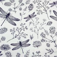 dragonflys and flowers on a white background