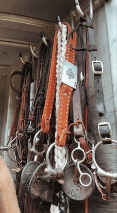 several different types of horse bridles hanging on a wall