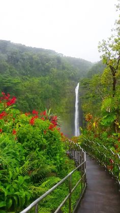 stairs lead down to a waterfall surrounded by lush green trees and flowers in the foreground