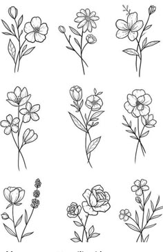 different types of flowers drawn in black and white