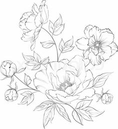 a bouquet of flowers with leaves and buds on a white background in the style of line art