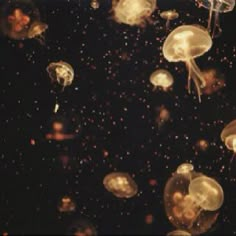 jellyfish floating in the water at night with bubbles coming out of their heads and tails