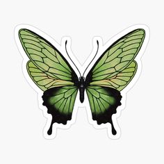 a green and black butterfly sticker