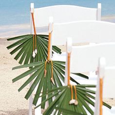 white chairs with palm leaves tied to them on the sand near the water's edge