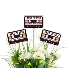 the best of 1979 and best of 2013 are placed in a vase with flowers