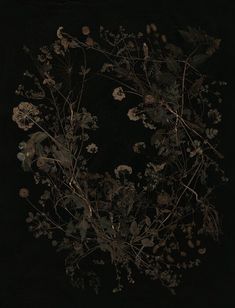 an arrangement of flowers on a black background