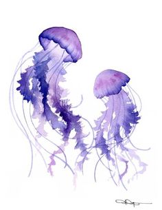 watercolor painting of two purple jellyfish