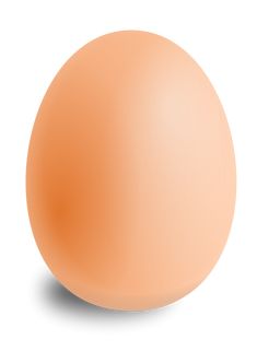 an orange egg on a white background